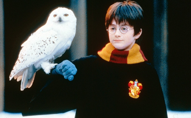 Chris Columbus muốn làm phim khác về Harry Potter