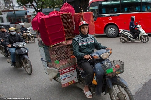 Trình lái xe “siêu đẳng” của người Việt trong mắt nhiếp ảnh gia nước ngoài