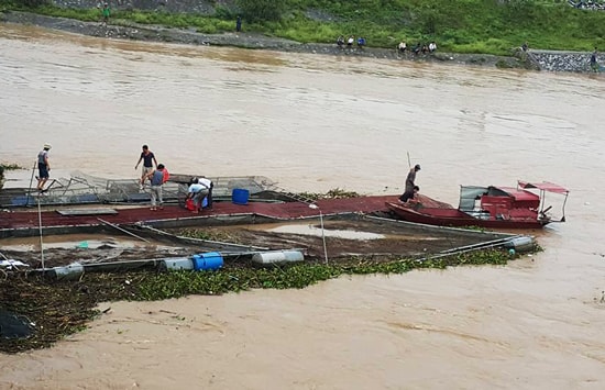 Hàng trăm tấn cá bị lũ cuốn trôi, dân đổ xô ra sông đánh bắt