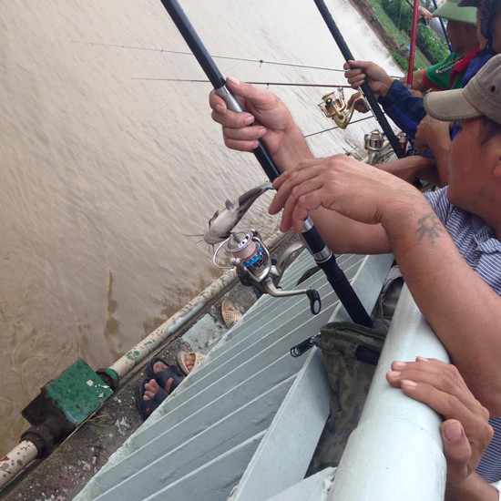 Hàng trăm tấn cá bị lũ cuốn trôi, dân đổ xô ra sông đánh bắt