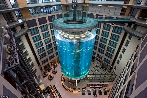 Aquadom - thủy cung hình trụ lớn nhất thế giới