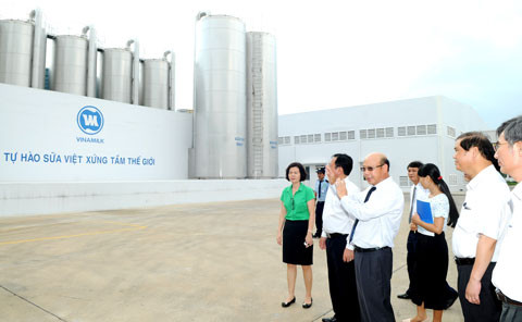 Tạo tiền đề phát triển chăn nuôi bò sữa tại Lâm Đồng