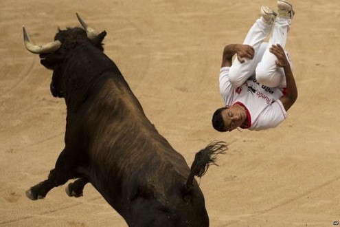 7 người bị bò húc chết trong những lễ hội bò tót tại Tây Ban Nha