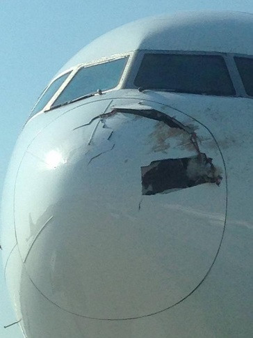 Đâm phải đàn chim, máy bay Singapore Airlines bị hư hại nặng