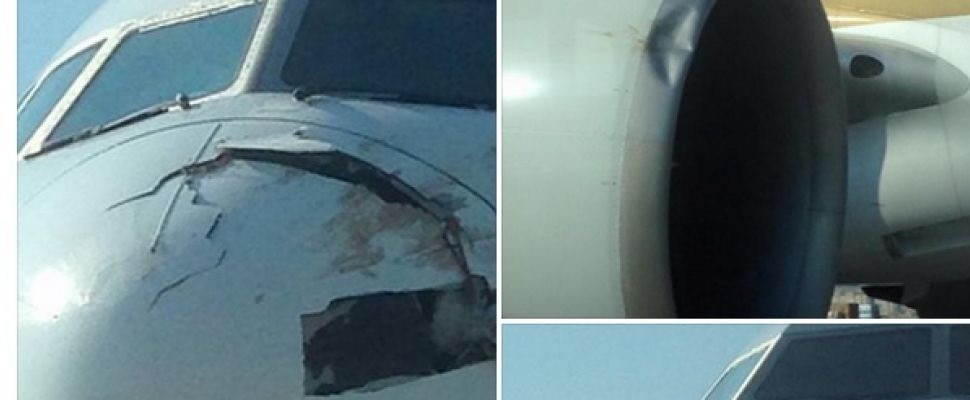 Đâm phải đàn chim, máy bay Singapore Airlines bị hư hại nặng