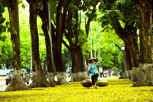 Việt Nam - điểm đến du lịch hàng đầu trong mùa thu năm 2015