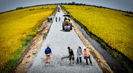 Đẩy mạnh hiện đại hóa nông nghiệp, nông thôn: Cần nhận thức đúng và giải pháp toàn diện