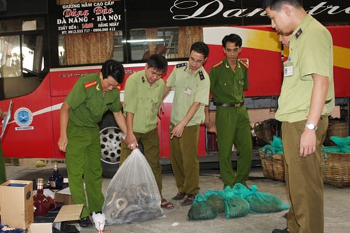 Xe khách chở động vật hoang dã, nội tạng động vật thối vào thành phố