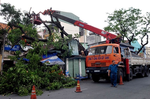 TP.Hồ Chí Minh: Cây cổ thụ đổ, đè sập ba ki-ốt