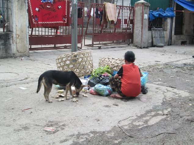 Hà Nội: Lay lắt những mảnh đời ở chợ đầu mối Long Biên