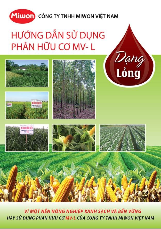 Phân hữu cơ MV-L dạng lỏng của Miwon: Sản phẩm tin cậy của nhà nông