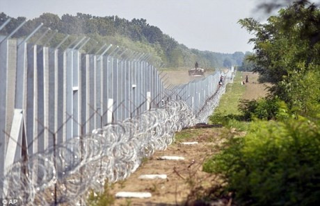 Hungary xây hàng rào chặn người di cư ở biên giới với Romania 