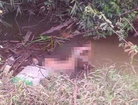 Bắc Giang: Bắt nghi can giết người phân xác phi tang dưới suối