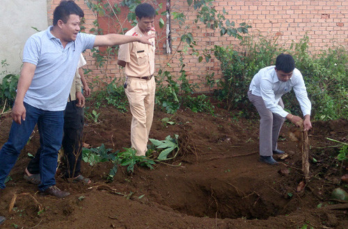 Vụ giết người ở Lâm Đồng:  Hung thủ chuyển 5 thửa đất của nạn nhân sang tên mình