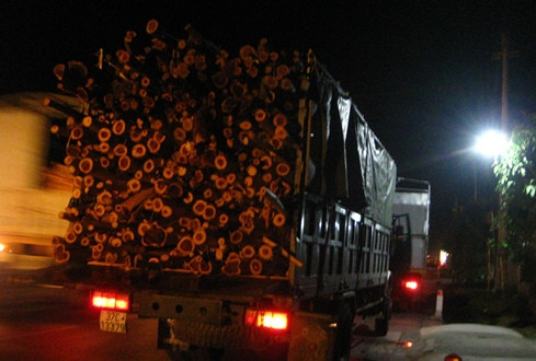 Thanh Hóa: Xử lý đoàn xe chở gỗ quá tải