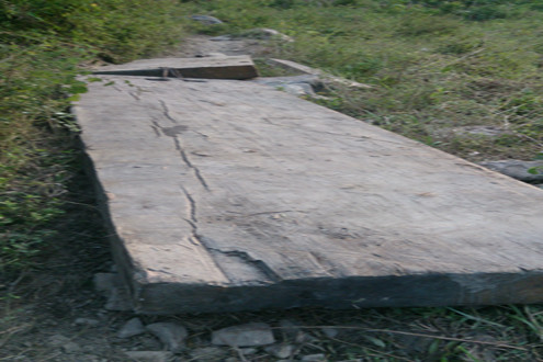 Bắt 3 lâm tặc khai thác gỗ trái phép thu giữ hơn 50 m3 gỗ lậu