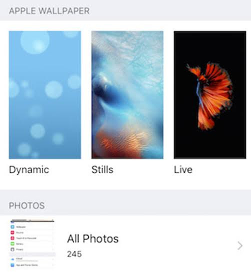 Chinh phục tính năng Live Photos trên iPhone 6S và 6S Plus