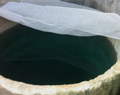 Thanh Hóa: Nghi bị đổ thuốc độc vào bể nước sinh hoạt
