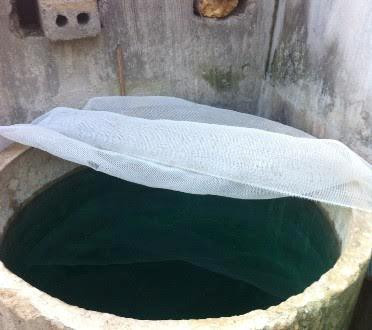 Vụ nghi đổ thuốc độc trong bể nước: Thủ phạm là người chị dâu