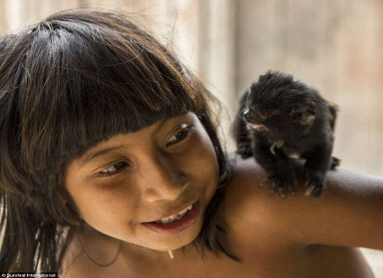 Kỳ lạ bộ tộc ở Amazon cho động vật hoang dã bú sữa như con