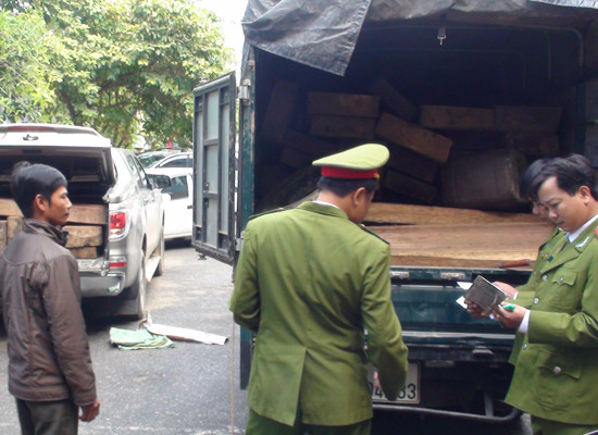 Quảng Bình: Bắt giữ 2 xe ô tô vận chuyển 4m3 gỗ trái phép 