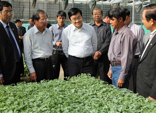 Chủ tịch nước thăm một số mô hình nông nghiệp ứng dụng công nghệ cao tại Lâm Đồng