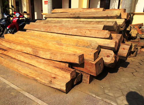 Hà Tĩnh: Triệt phá đường dây vận chuyển gỗ lậu