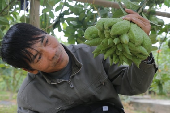 Những nông dân thành tỷ phú nhờ phật thủ