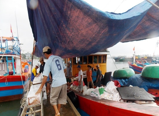 Ngư dân quyết tâm vươn khơi bám biển