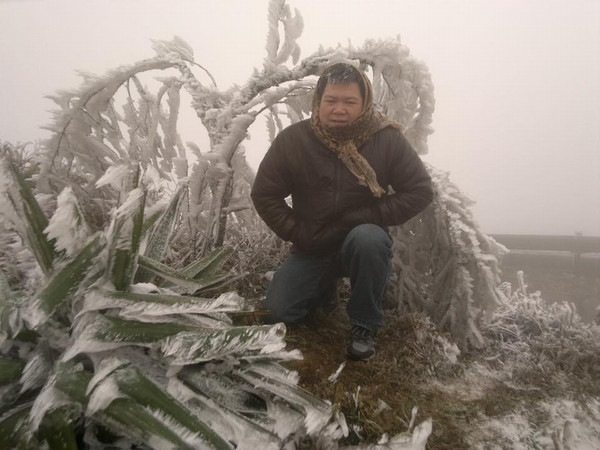 Lạng Sơn: Nhiệt độ xuống thấp, băng tuyết phủ trắng Mẫu Sơn