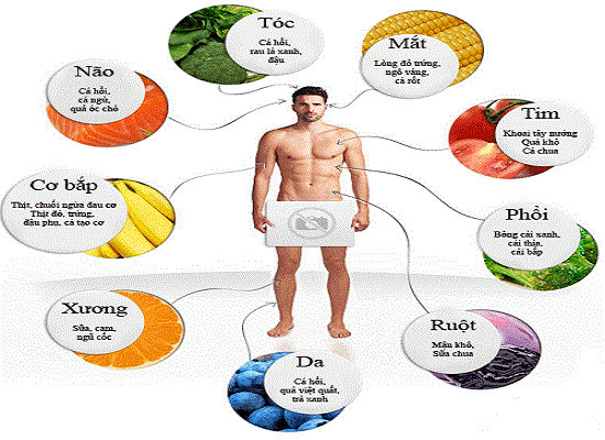 Những thực phẩm bổ dưỡng cho từng bộ phận cơ thể 