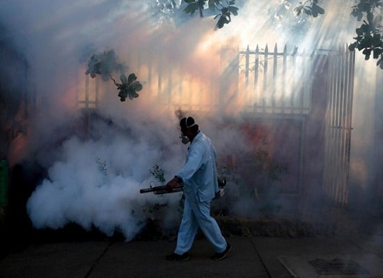 Virus zika gây teo não tấn công Châu Âu