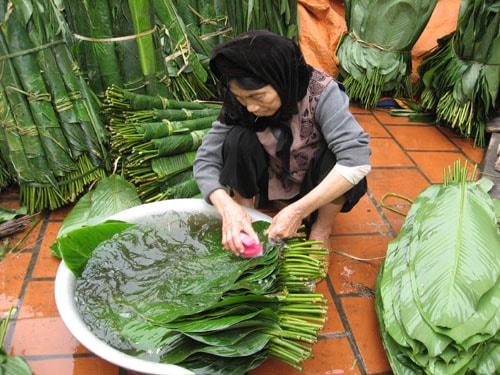 Gói bánh chưng cho ngày Tết thêm ấm cúng