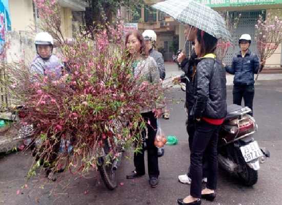 Dự báo thời tiết ngày 31/1: Rét đậm trước Tết, Bắc Bộ có nơi dưới 9 độ C