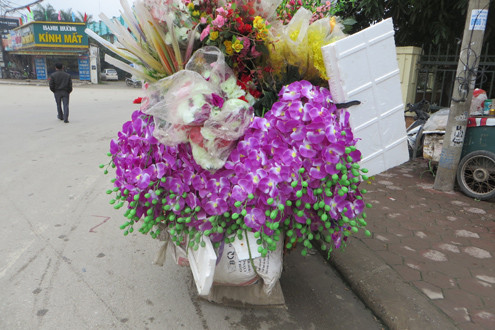  Nghệ An: Chợ hoa ế ẩm, người buôn hoa khóc thầm