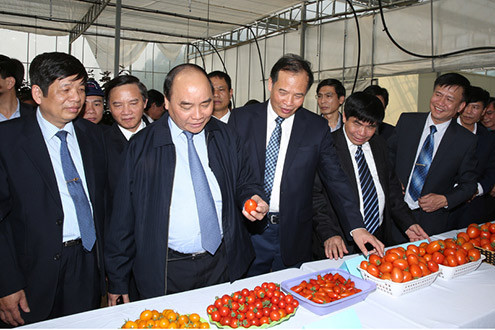 Phó Thủ tướng Nguyễn Xuân Phúc thăm, chúc Tết tại Viện Cây lương thực và cây thực phẩm