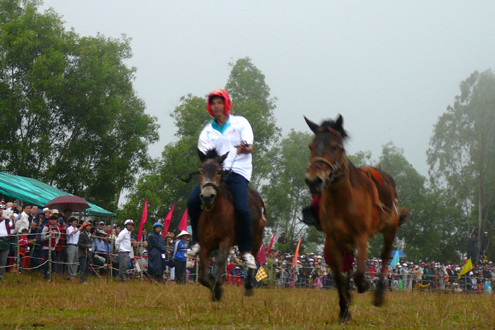 Phú Yên: Hàng ngàn người xem đua ngựa gò Thì Thùng