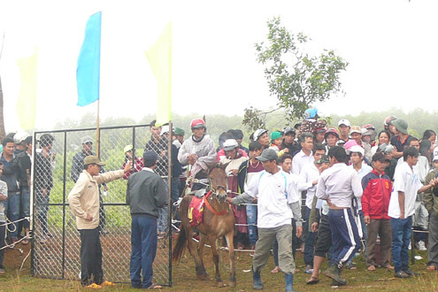 Phú Yên: Hàng ngàn người xem đua ngựa gò Thì Thùng