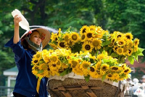 Dự báo thời tiết ngày 17/2: Trưa chiều hửng nắng, Bắc Bộ vẫn rét đậm