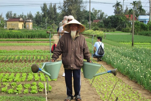 Có một tình yêu bất diệt ở làng rau trứ danh