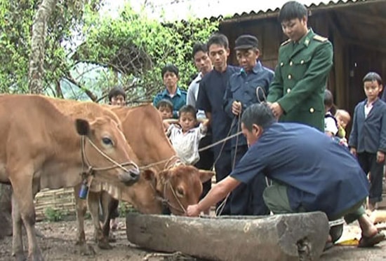 Về Tây Bắc hôm nay