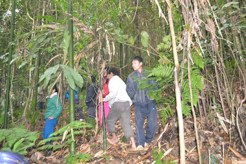 Hà Giang: Phát hiện nam thanh niên treo cổ trong rừng vàu