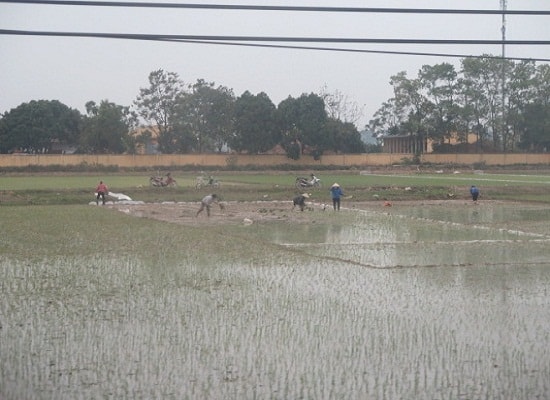 Ngày 8/3 của mẹ