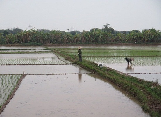 Ngày 8/3 của mẹ