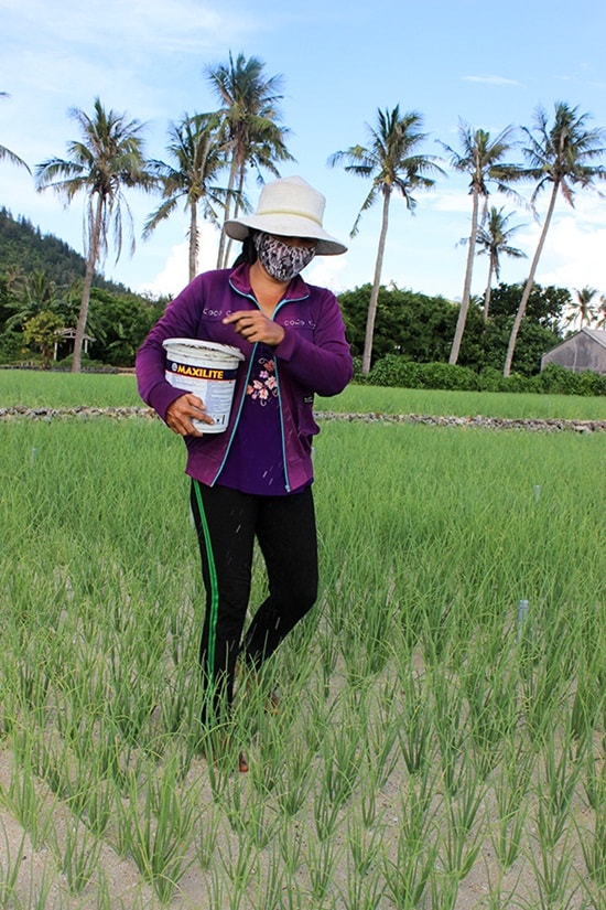 Những người đàn bà làng biển