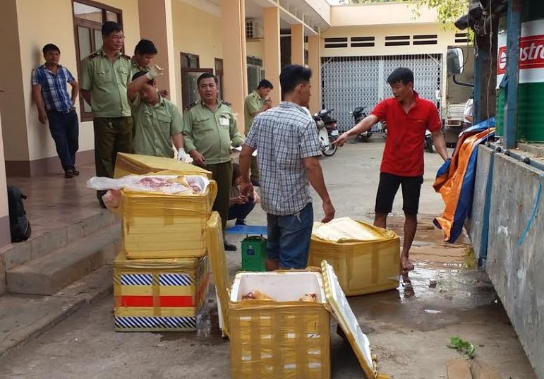 Đắk Lắk: Phát hiện xe tải chở hơn 700kg thịt động vật hôi thối 