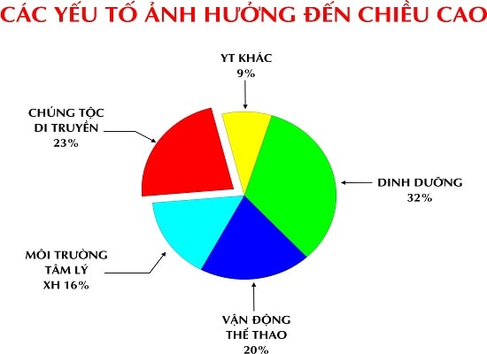 Học cách tăng chiều cao của người Nhật 