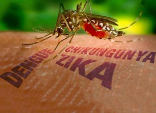Bộ Y tế chỉ đạo công tác phòng chống dịch bệnh do vi rút Zika 