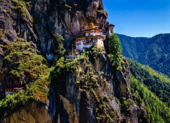  Bhutan: Chiến dịch trồng 108.000 cây xanh để chào đón hoàng tử