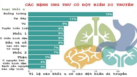 Đa phần ung thư là do di truyền 